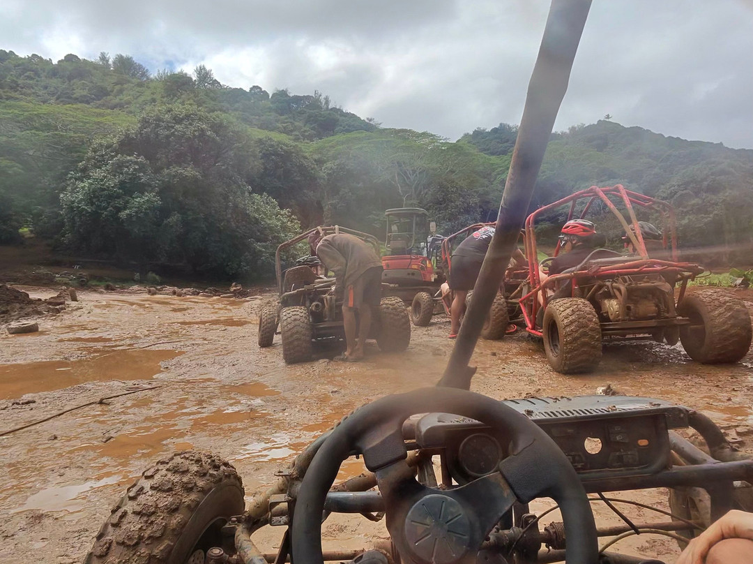 Raro Buggy Tours-穆里必去景点
