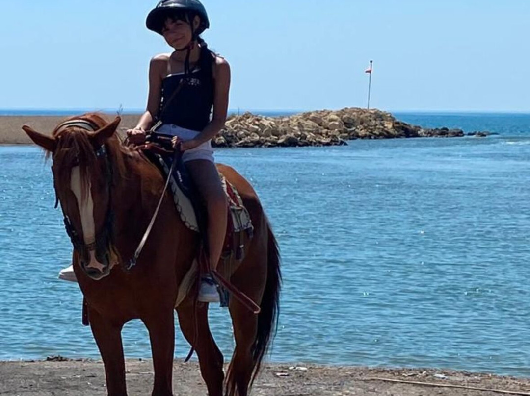 Belek Safari | Horse Riding Tour-Kumkoy必去景点