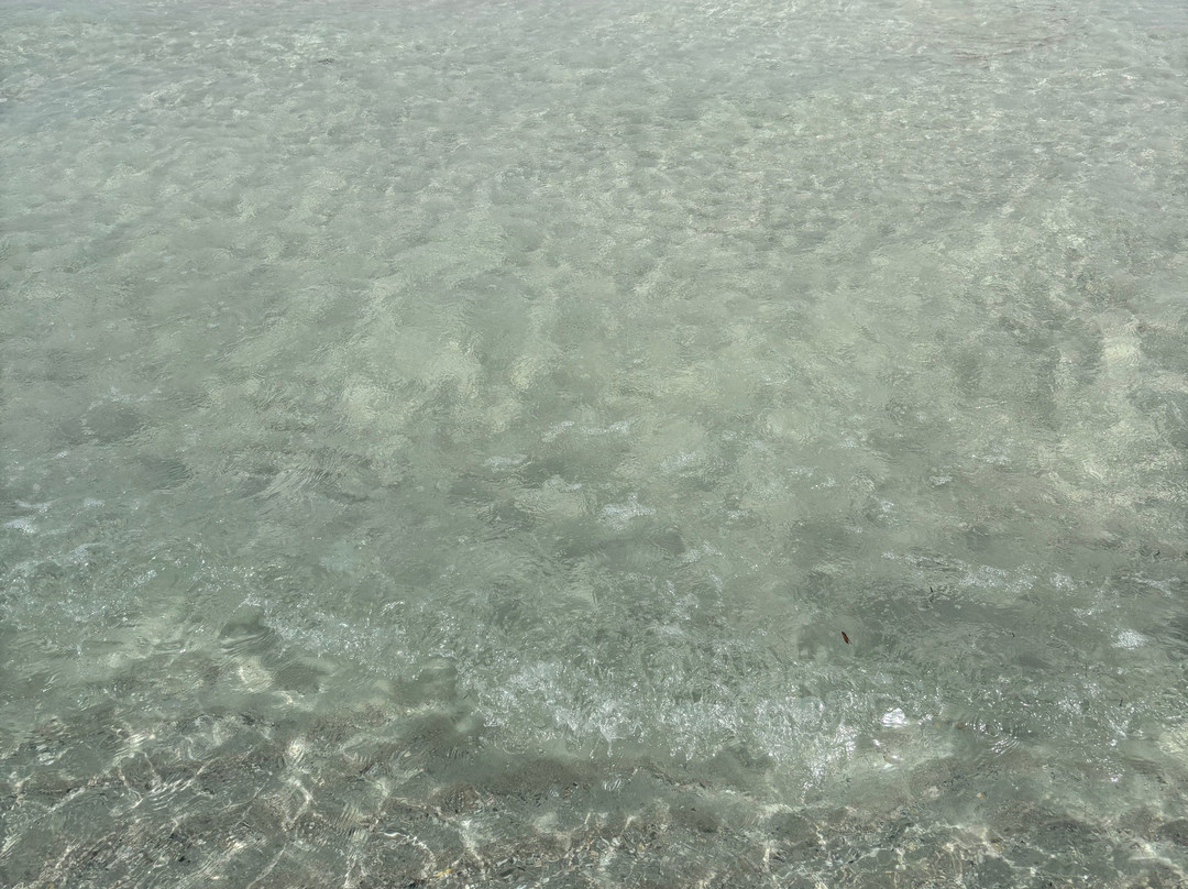 Spiaggia La Cinta-San Teodoro必去景点