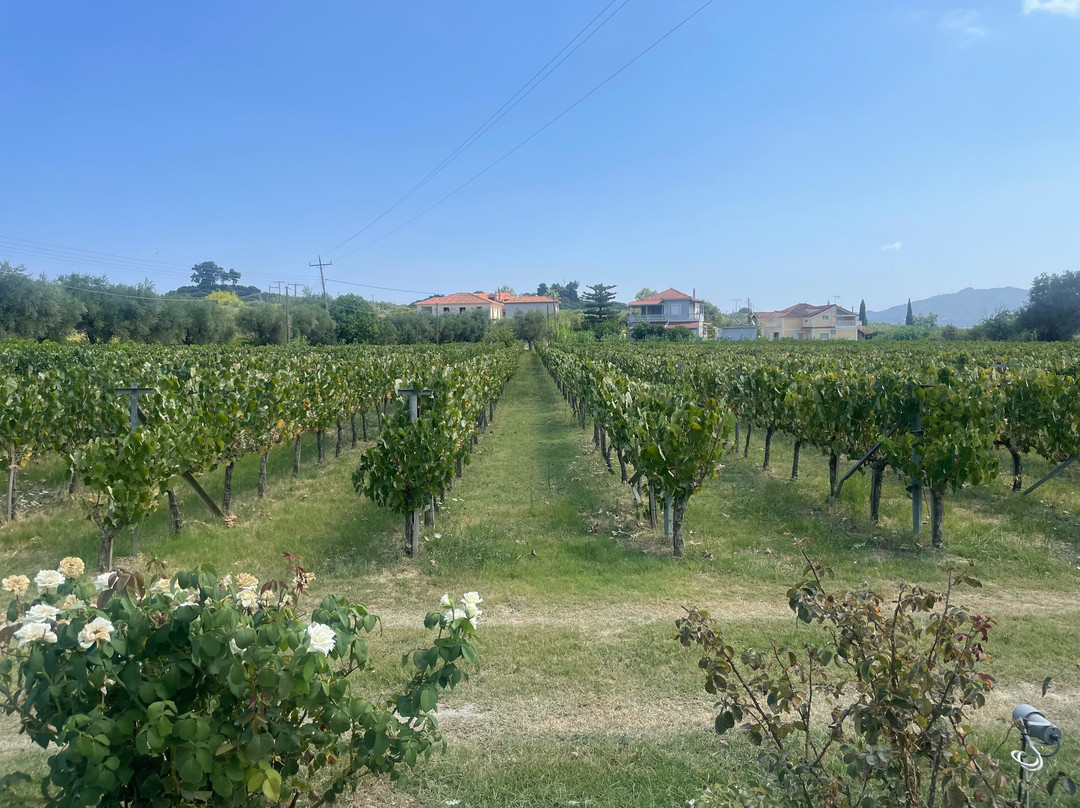 Grampsas Winery-Lagopodo必去景点
