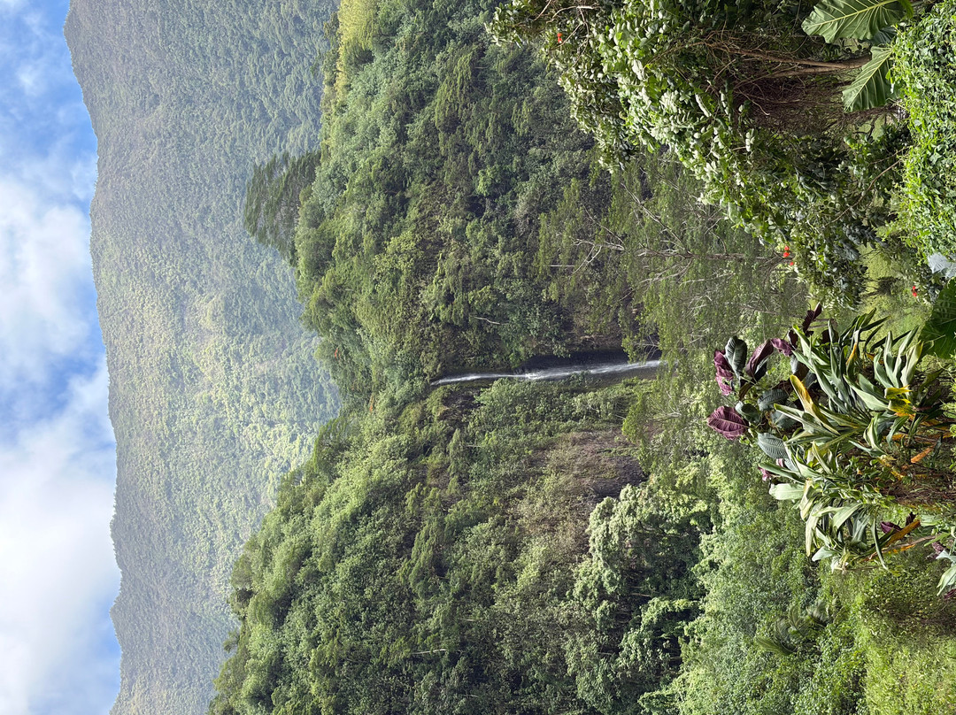 Ciao Tahiti Excursions 4x4 - Day Tours-普纳奥亚必去景点