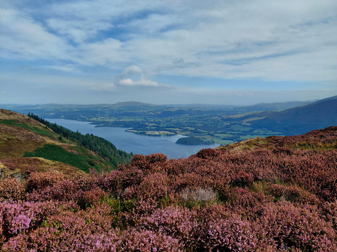 Whinlatter Forest-Braithwaite必去景点