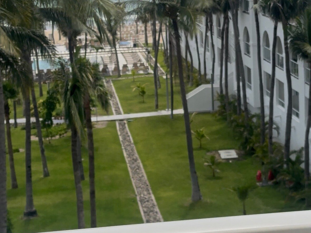 Hotel Riu 哈利斯科 - 全包主图