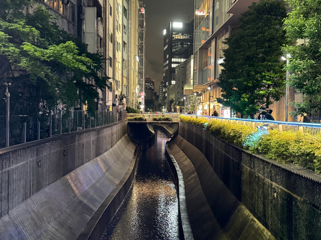 涩谷Stream酒店主图
