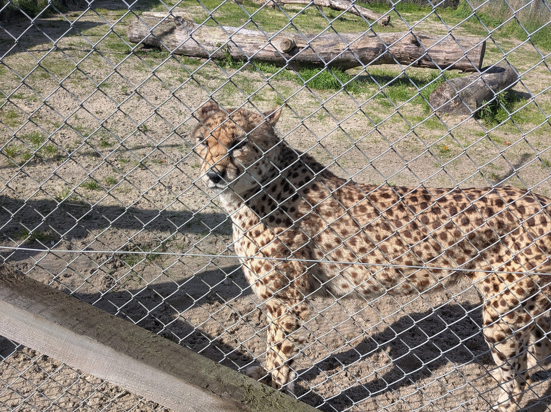 Five Sisters Zoo-West Calder必去景点