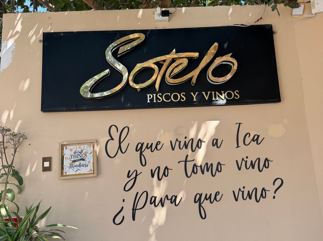 Bodega Y Viñedo Sotelo-伊卡必去景点