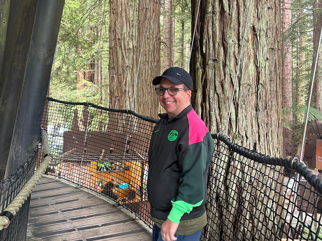 Redwoods Treewalk-罗托鲁瓦必去景点