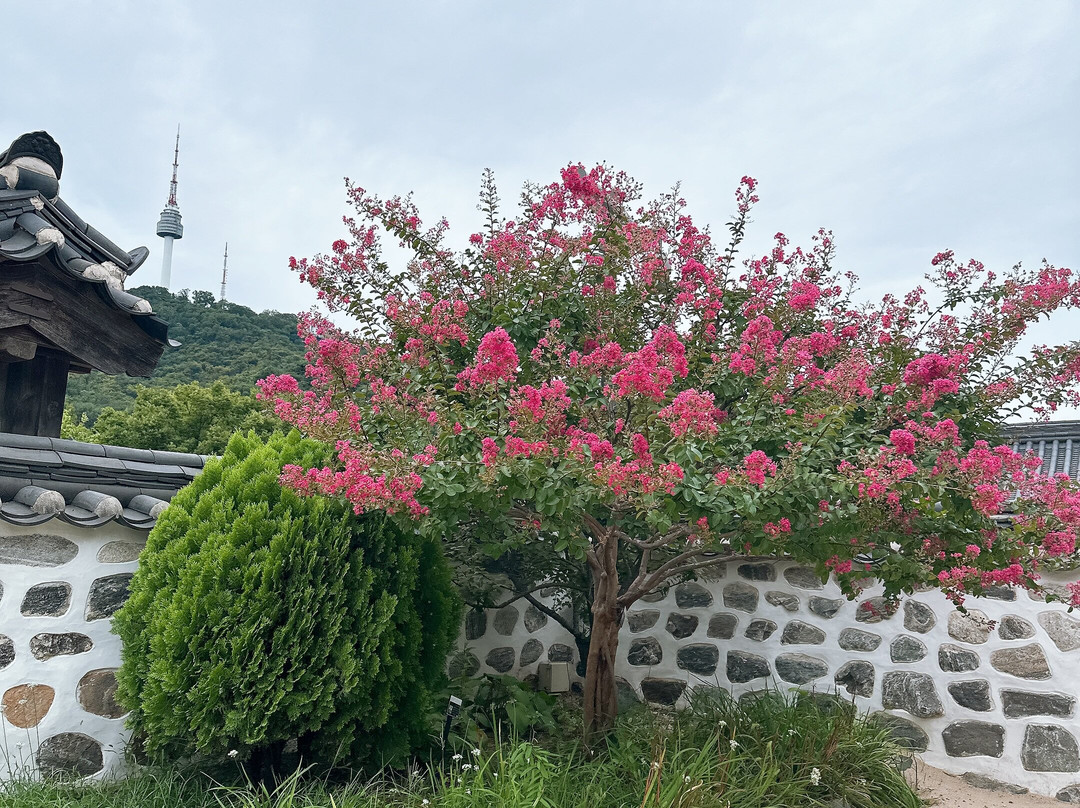 Cosmo. Jin Tour - Day Tours-首尔必去景点