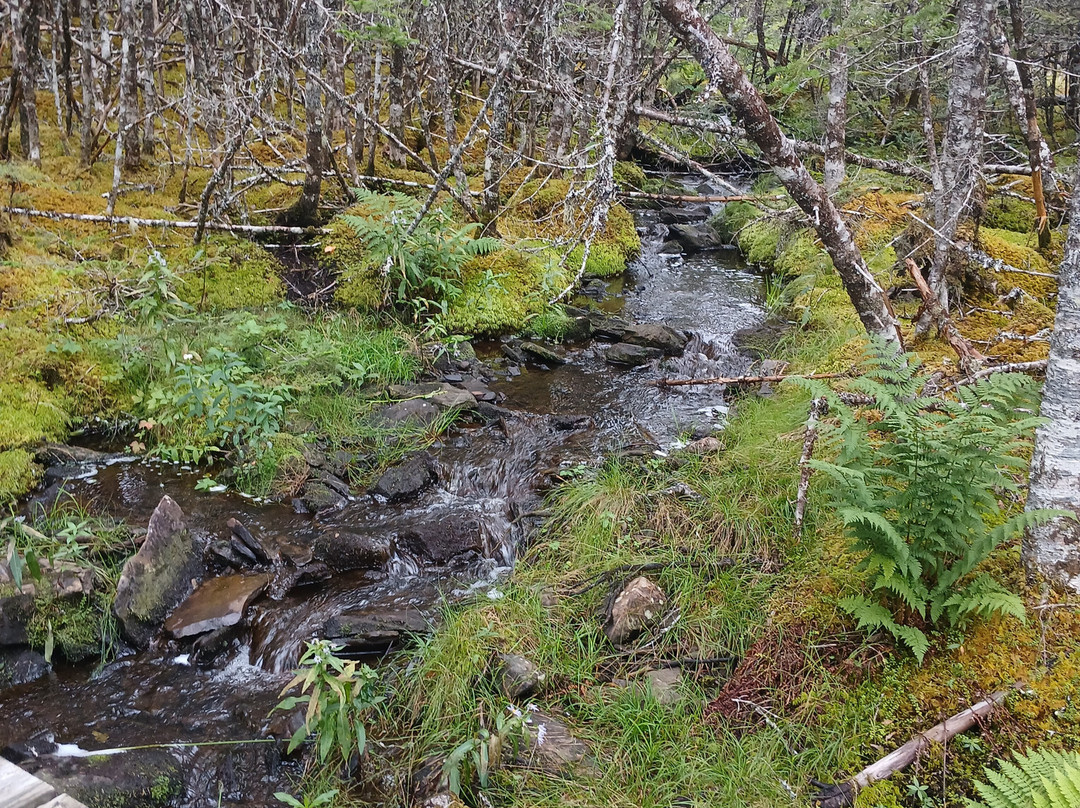 Salmonier Nature Park-Holyrood必去景点