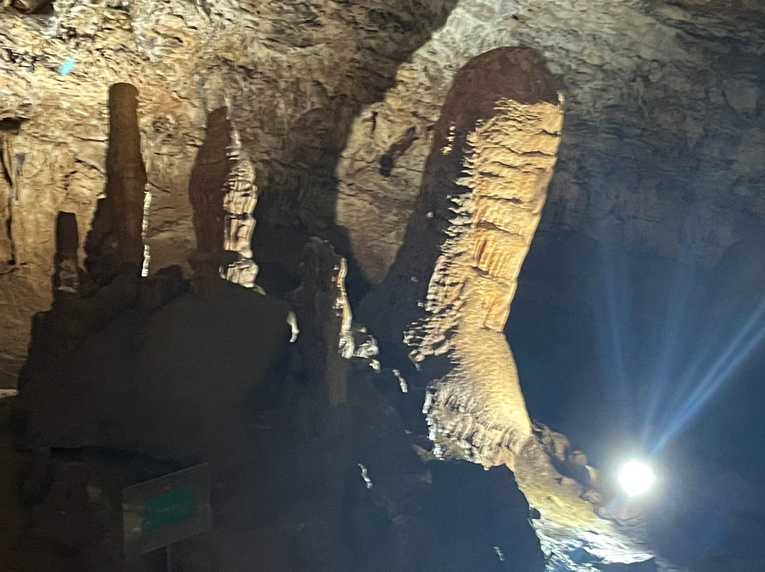Vjetrenica Cave-Zavala必去景点
