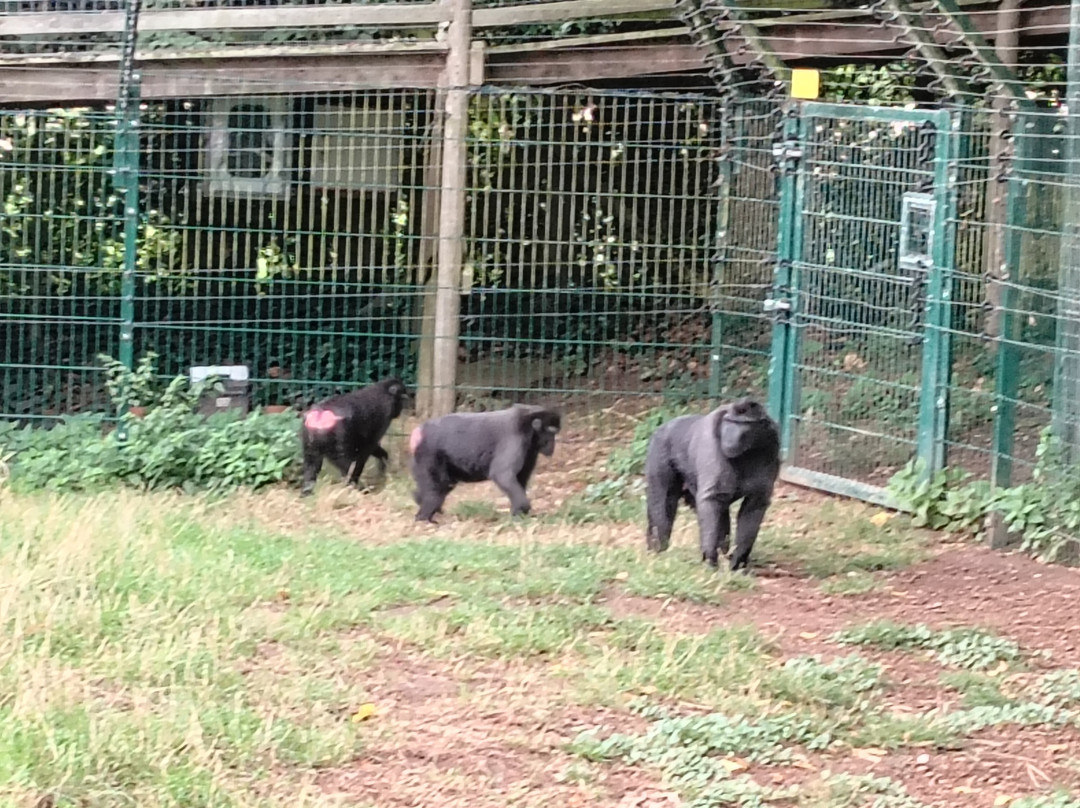 Thrigby Hall Wildlife Gardens-Filby必去景点