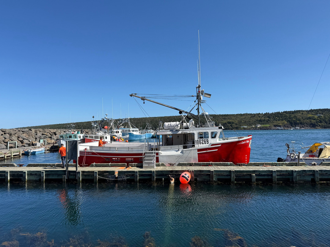 Adventure Bay Whale Watch Co.-Tiverton必去景点