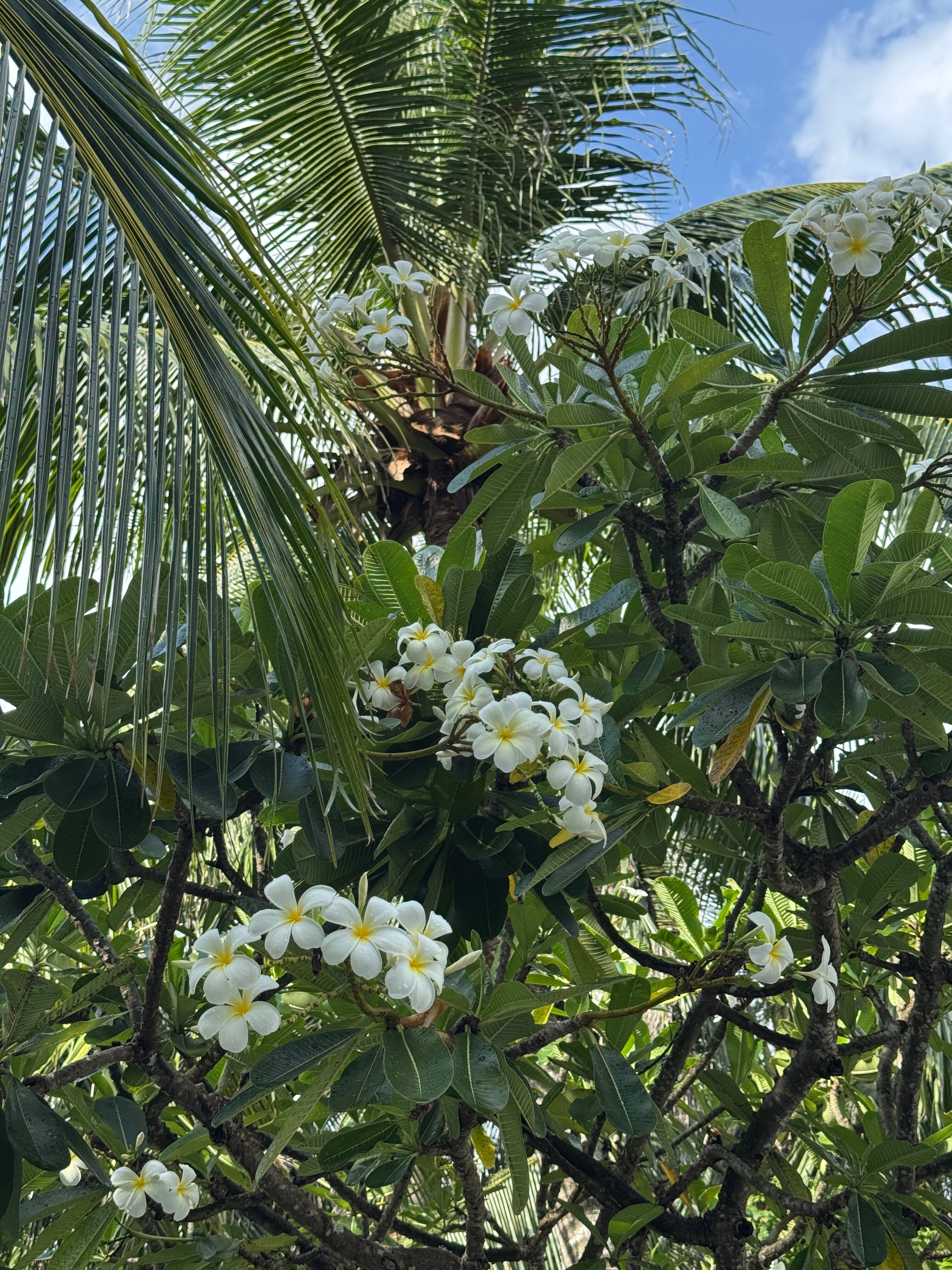 岘港格兰德威罗海洋度假村-旅行者