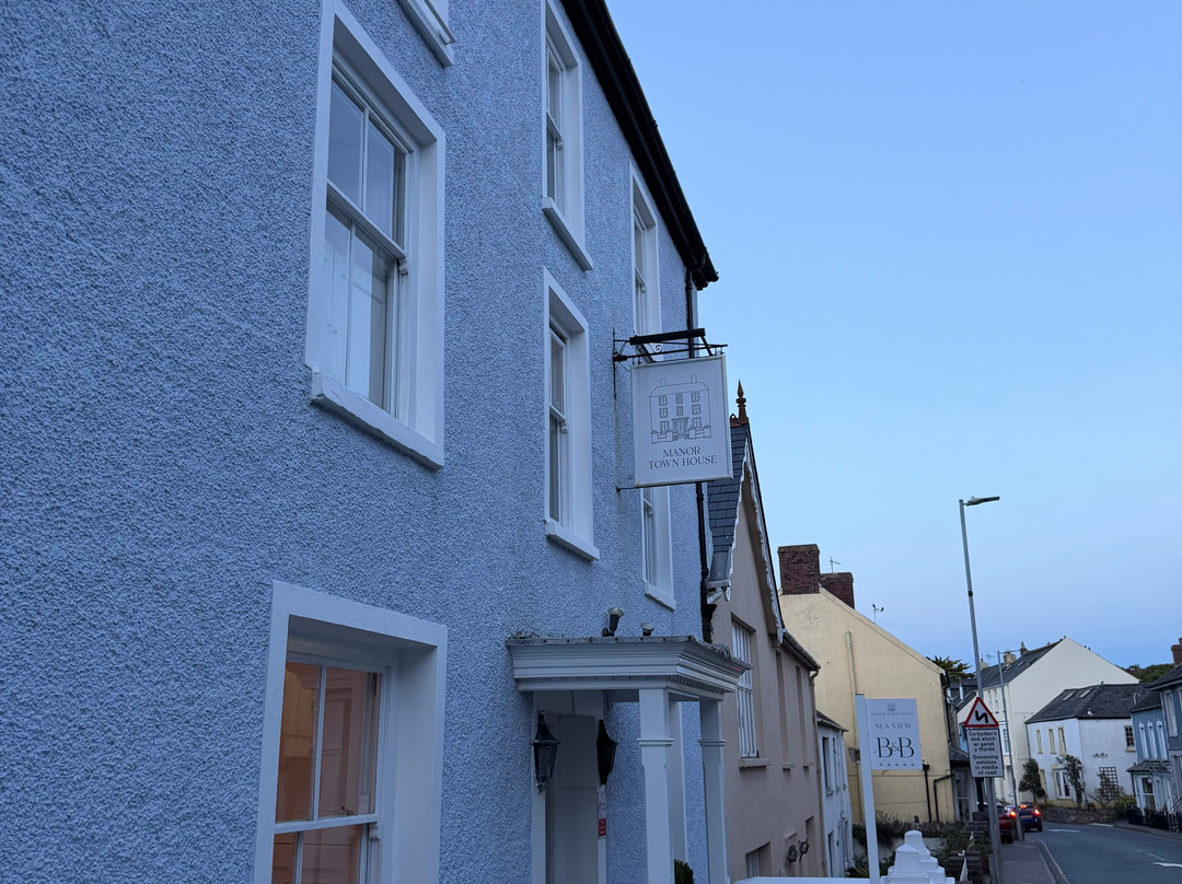 Manor Town House主图