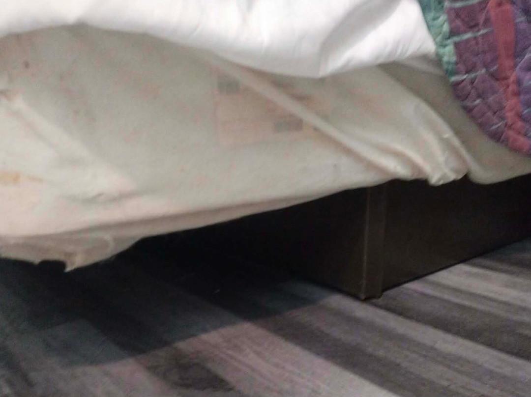 斯缇尔黑德旅馆主图