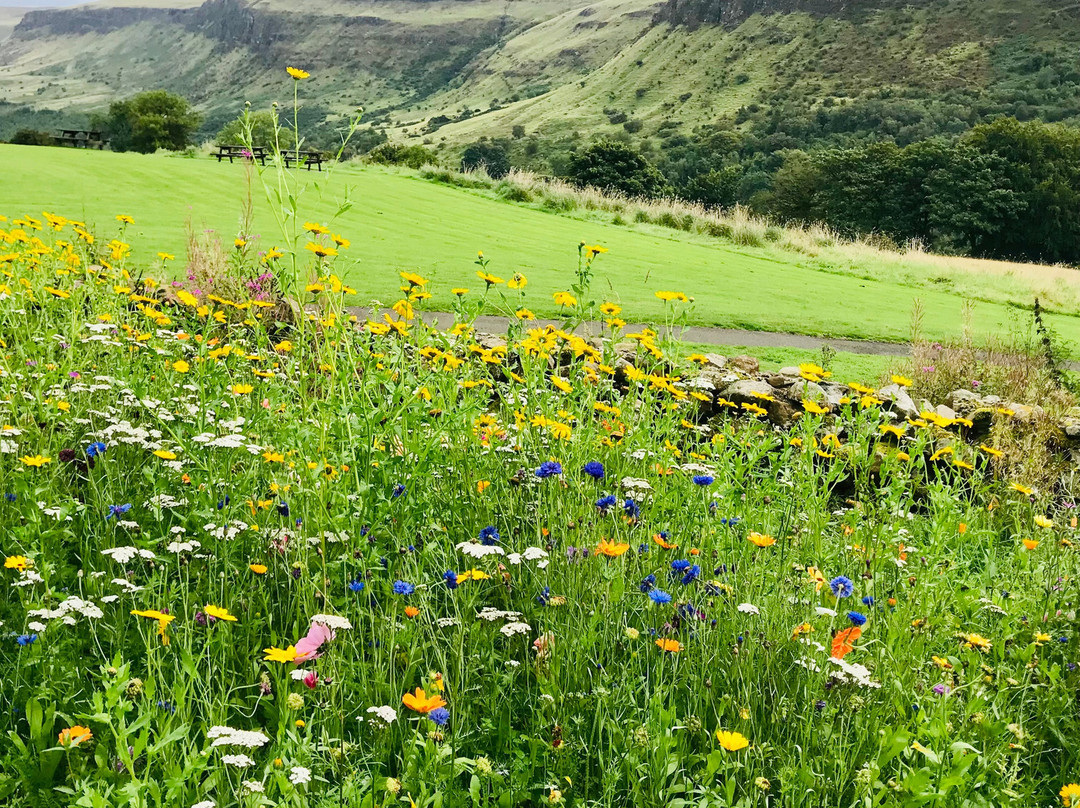 Glenariff Forest Park Caravan Park-Glenariff必去景点