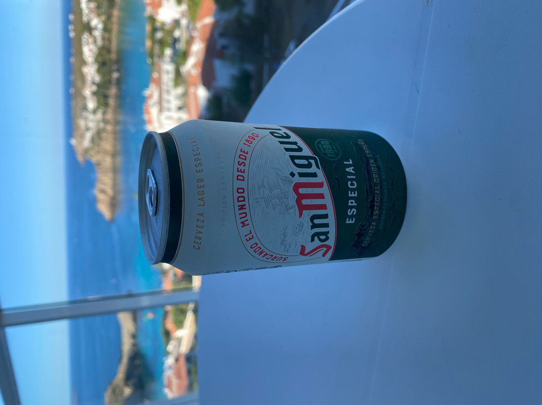 梅诺卡帕拉丁姆酒店主图
