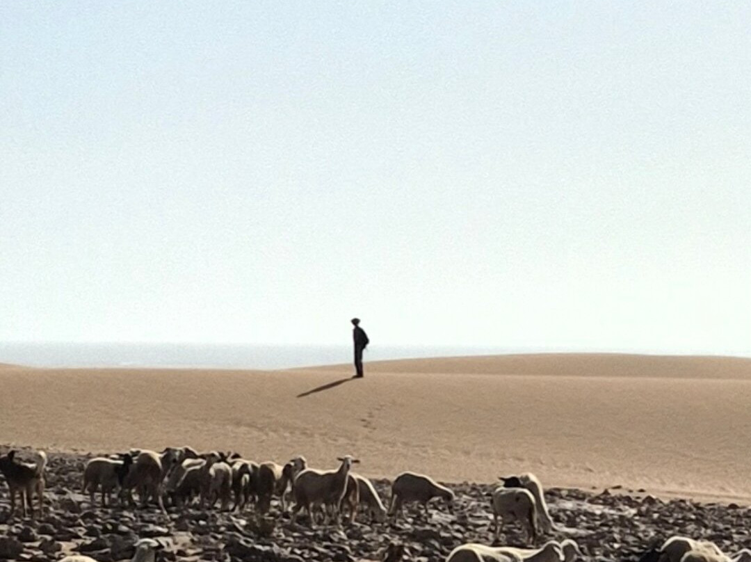 Essaouira Buggy Quad Day Tours-索维拉必去景点