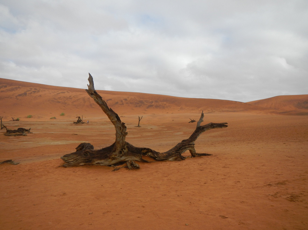 Namib Desert-苏丝斯黎必去景点