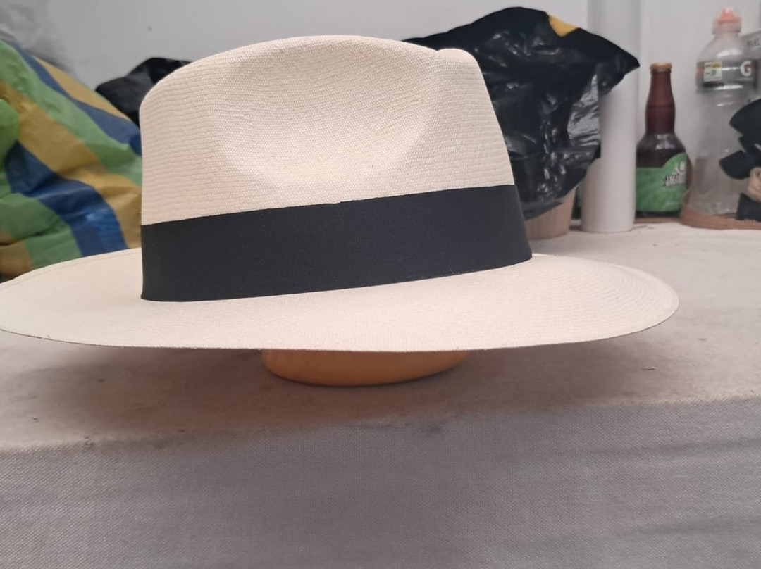 Modesto Hats - Panama Hats