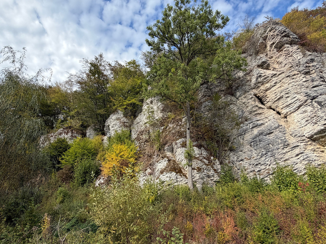 Wasserfall Dreimühlen-Uxheim必去景点