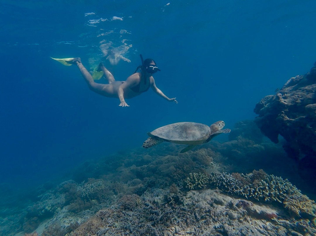 Jhony Gili & Lombok Tours-Gili Air必去景点