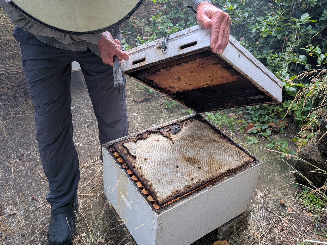 Melipap Apiary-Polemarchi必去景点