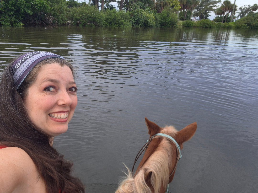 Florida Beach Horses-布雷登顿必去景点