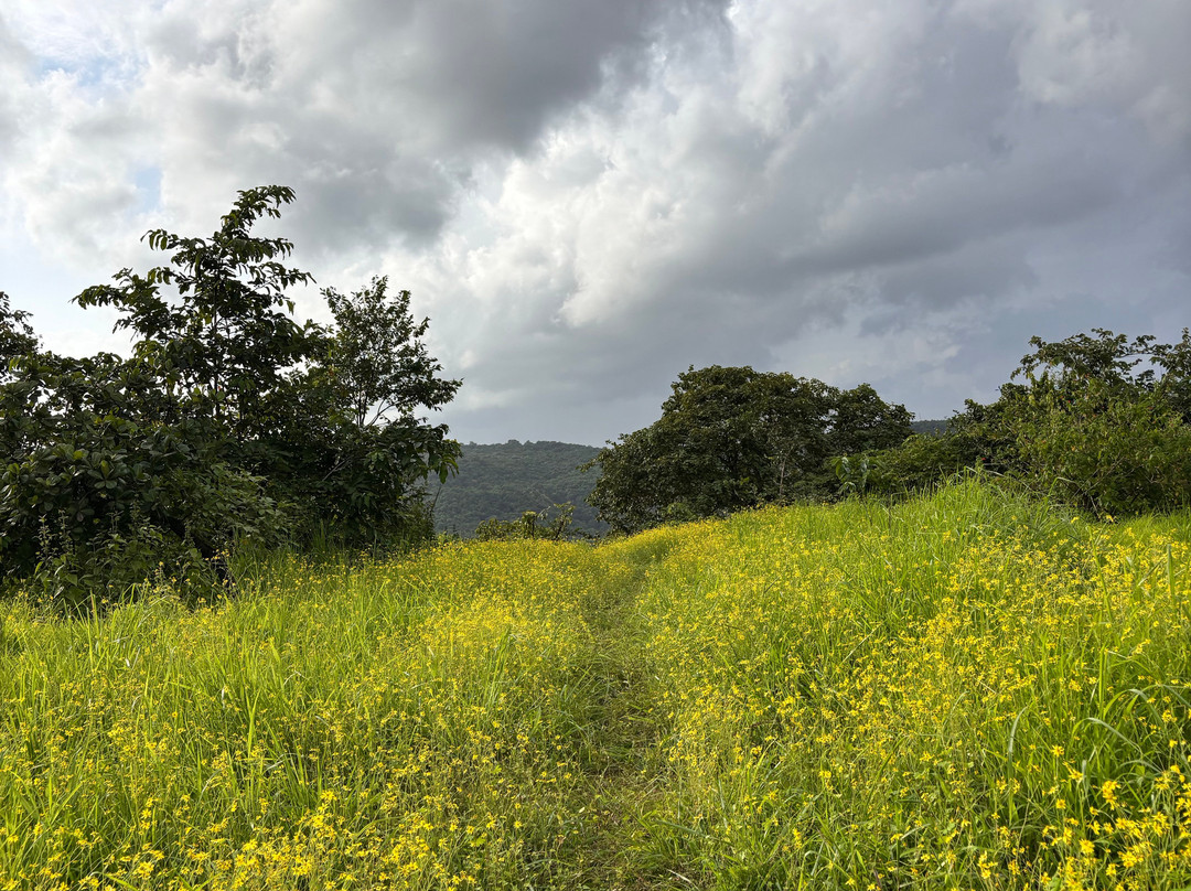 Farm of Happiness Agro Tourism Homestay主图