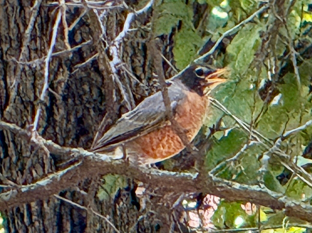 Martin Park Nature Center-俄克拉何马城必去景点