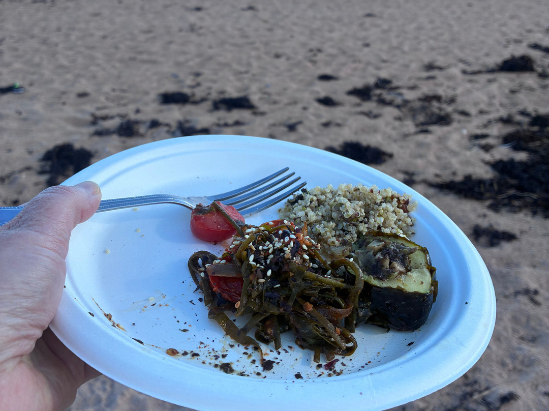 East Neuk Seaweed-St Monans必去景点