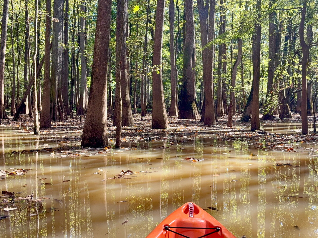Carolina Outdoor Adventures-厄莫必去景点
