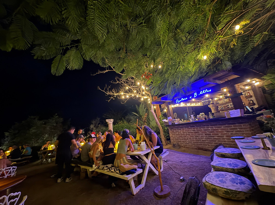 Oystera
