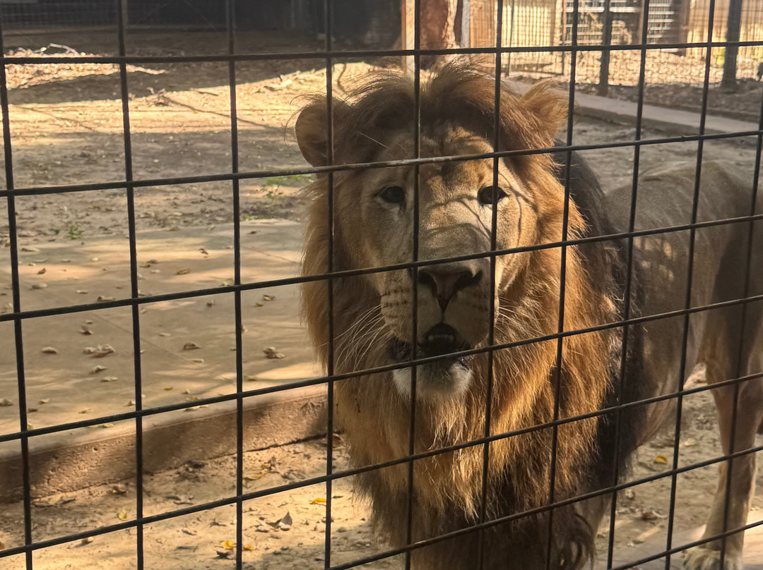 Safari Zoological Park-Caney必去景点