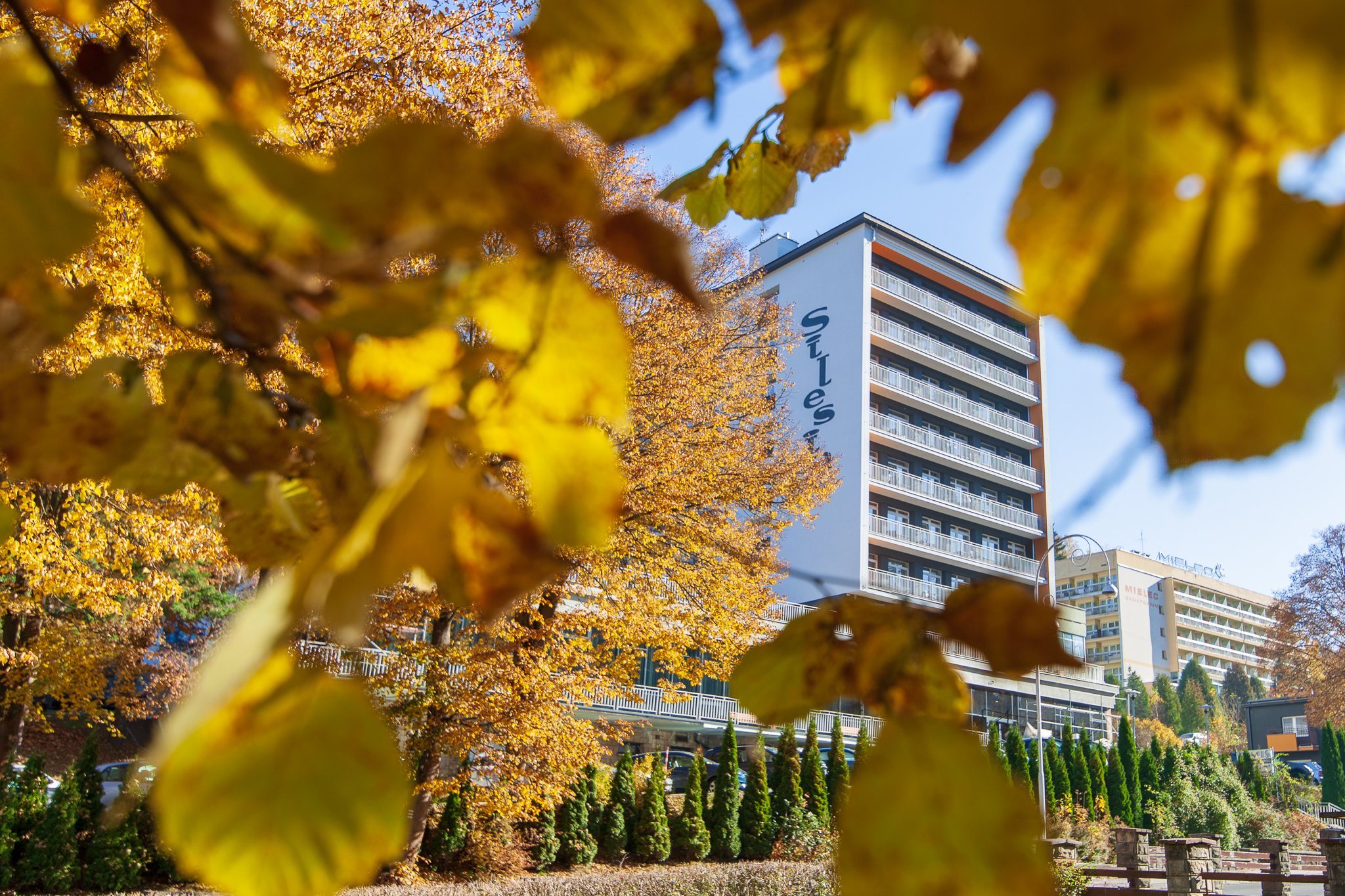 Damis -  Centrum Wypoczynku i Rehabilitacji-官方