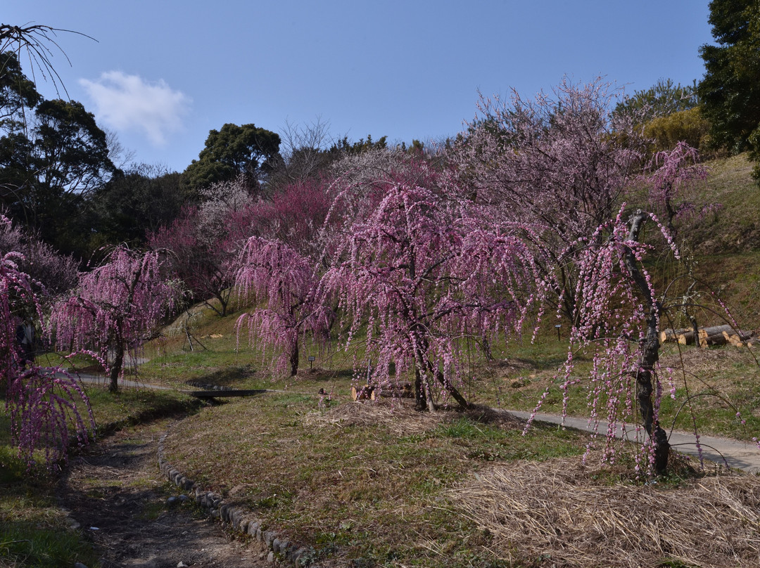 Hirotabairinfureai Park景点图片