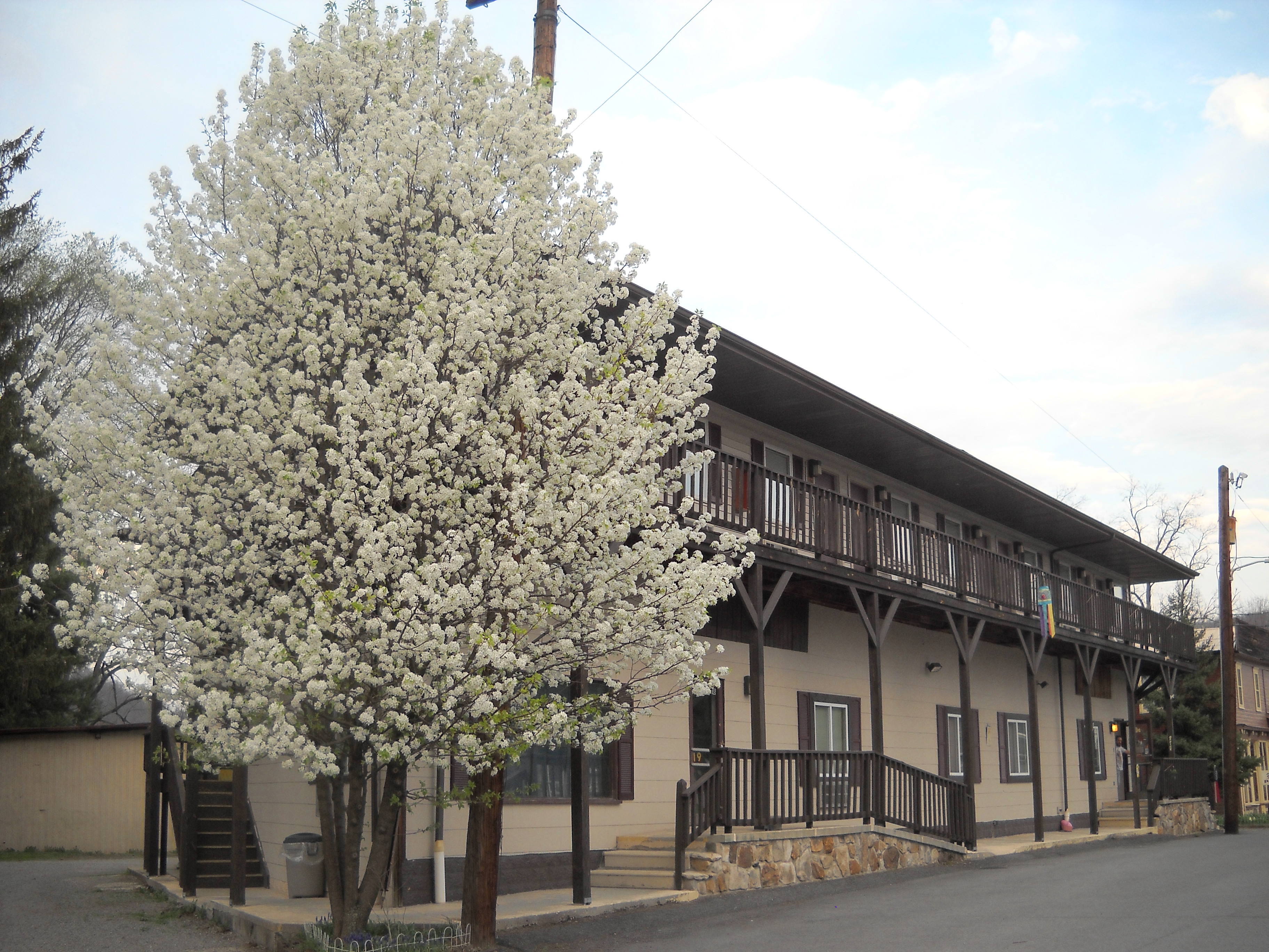 Yough Valley Motel-官方