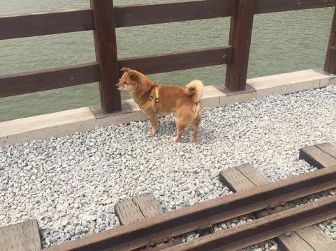 西青郊野公园-天津市必去景点