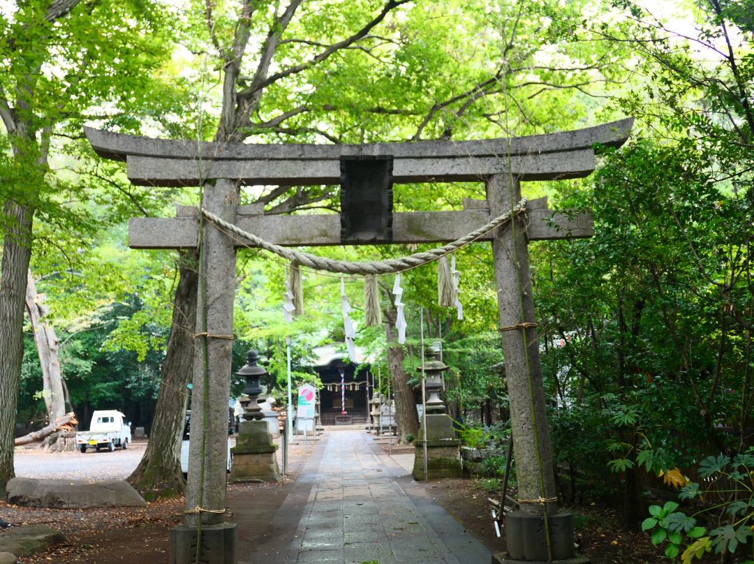 Koganei Shrine景点图片
