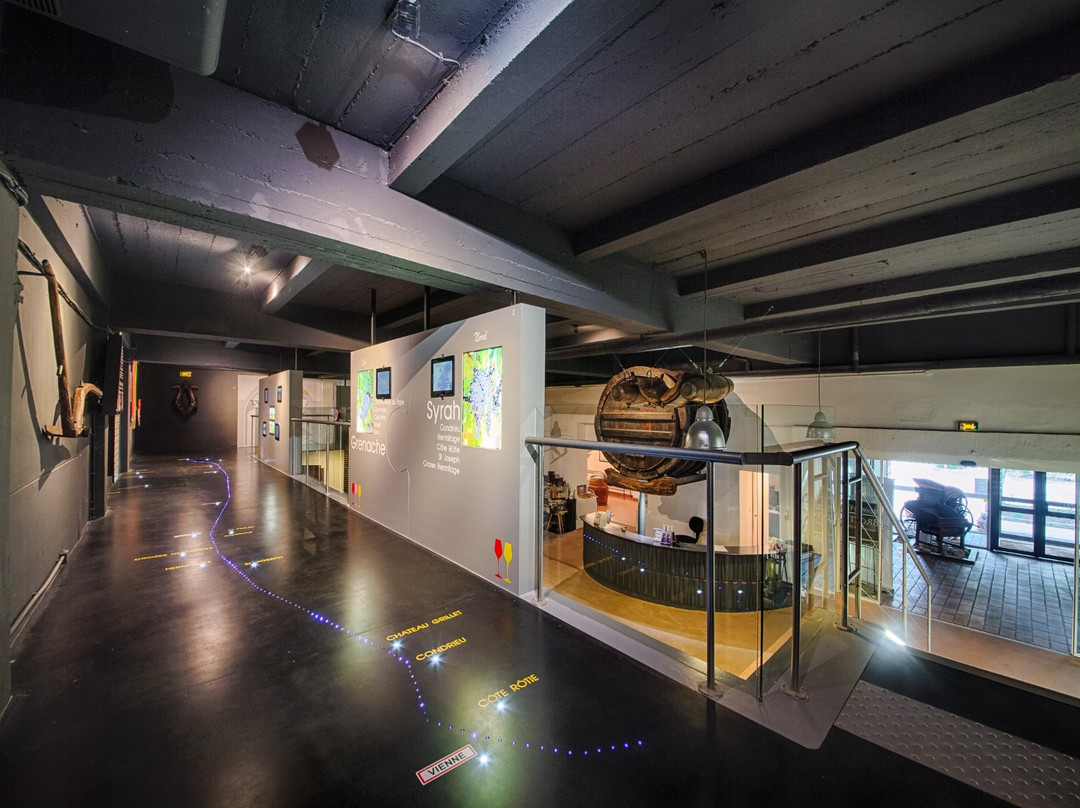 Musee du Vin Brotte Dégustation et Vente景点图片