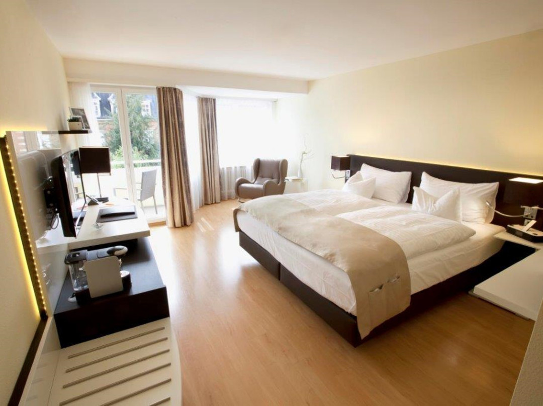 Hotel Spalentor Basel主图