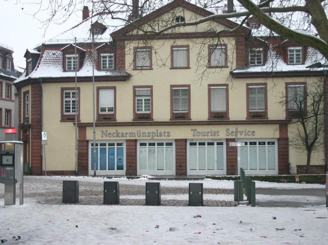 Heidelberg City Bus Tour-海德尔堡必去景点