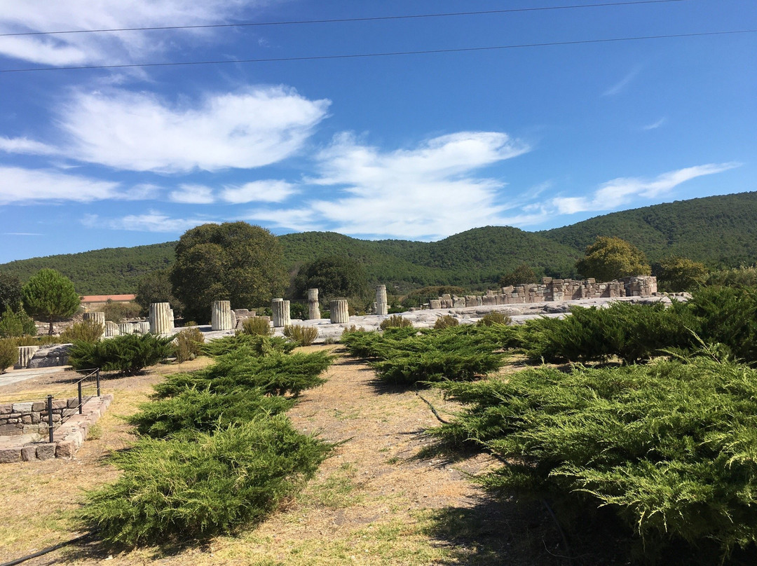 Temple of Messon景点图片