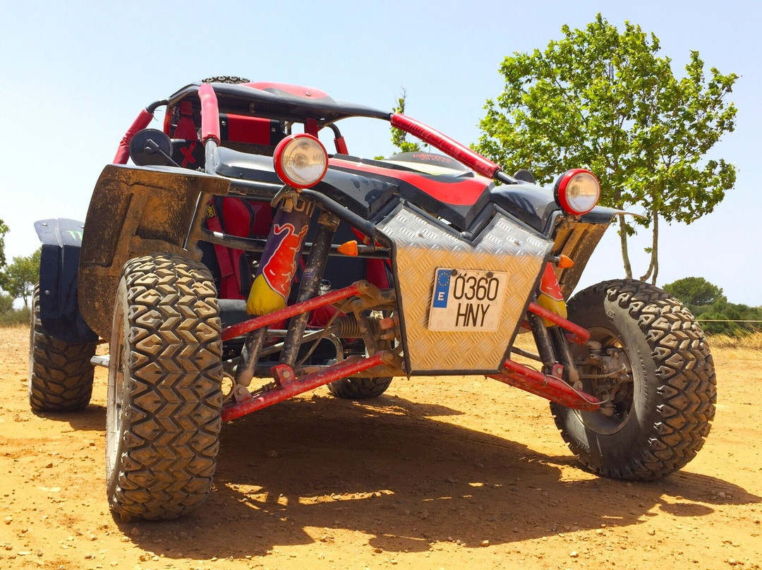 Buggy Xperience-Ca'n Picafort必去景点