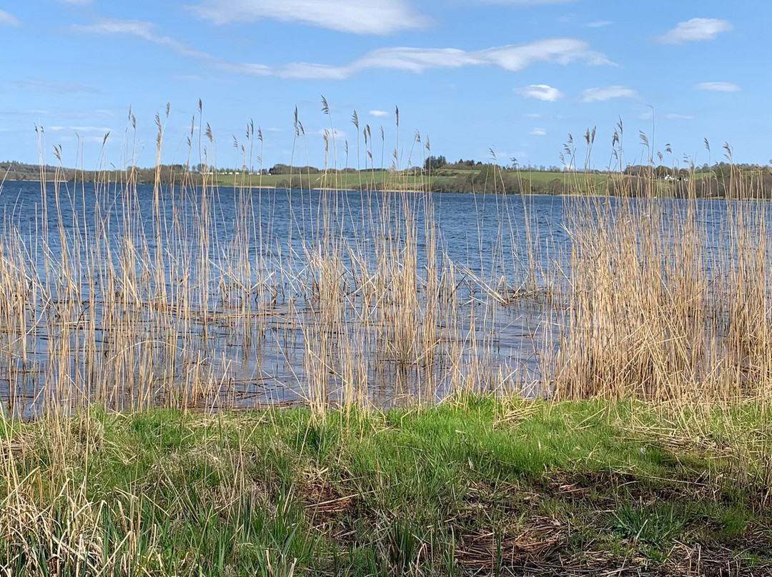 Fårup Sø景点图片