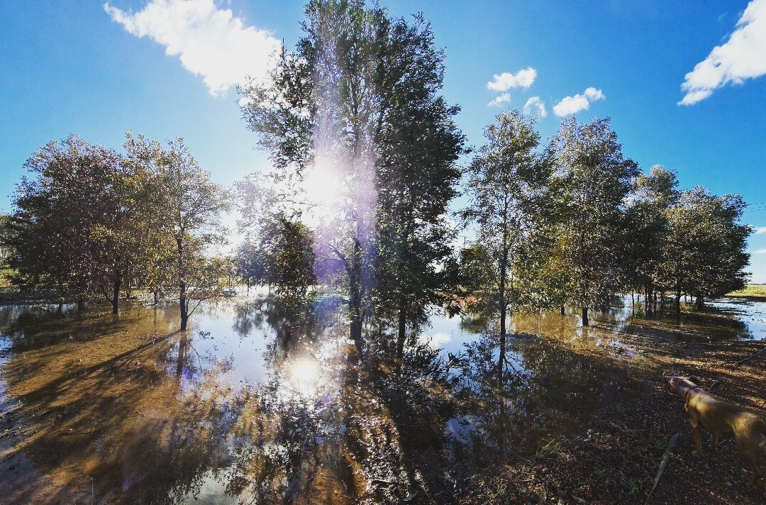 Cunnamulla Bushlands-Cunnamulla必去景点