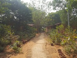 Svanir Wilderness Ecostay主图