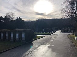 Friedhof israelitisch-默德林必去景点