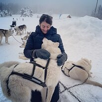 Travel Dog景点图片