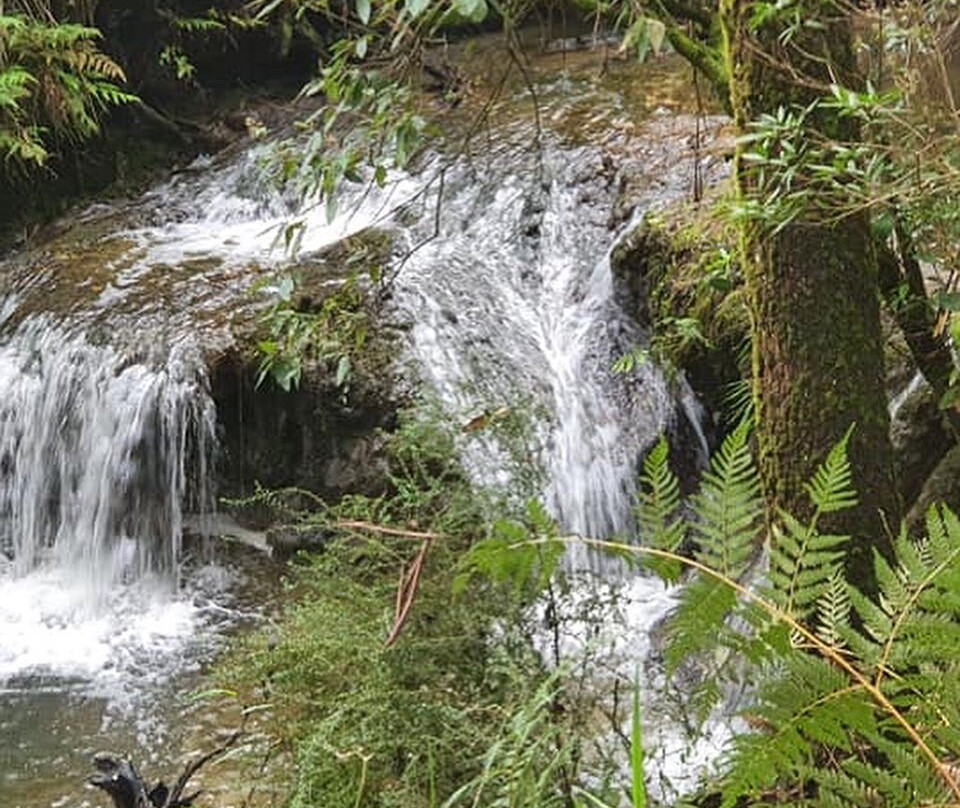 Ride With Us-廷布恩必去景点